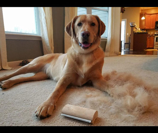 Wood Groom Brush vis Deshedding Grooming Tool, Professional Pet Wooden Groomer